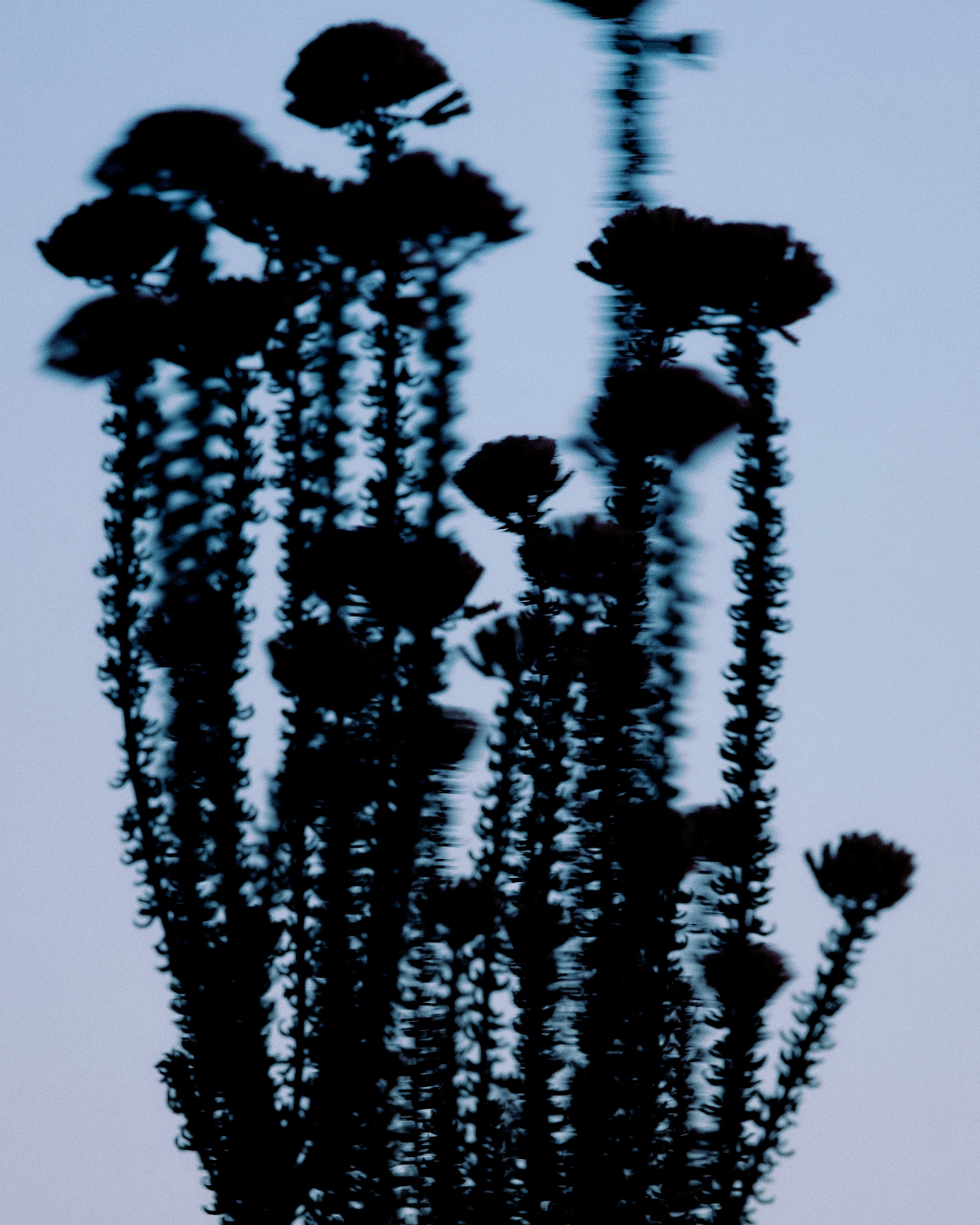 Logo on colored background